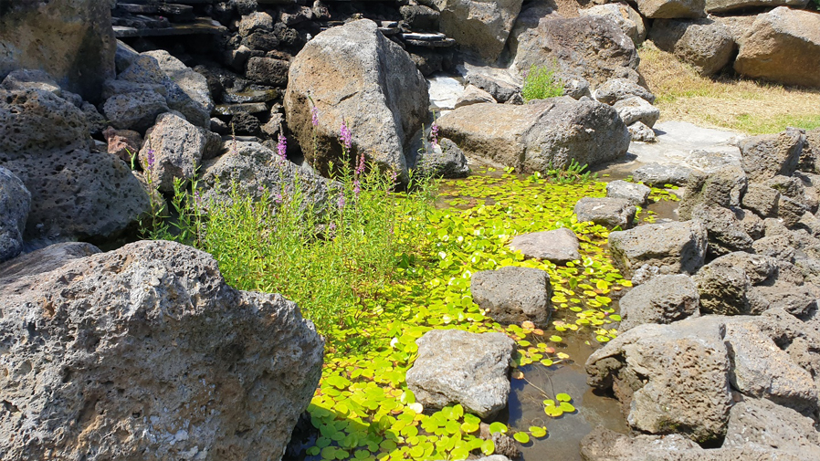 The Garden of Prayer9